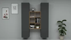 Credenza alta antracite e acero 40x30x180h cm 2 ante - Danila