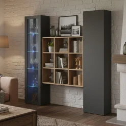Credenza Nero Antracite 14 Ripiani 2 Ante 40x30x180h cm, 19 Vani - Colonno