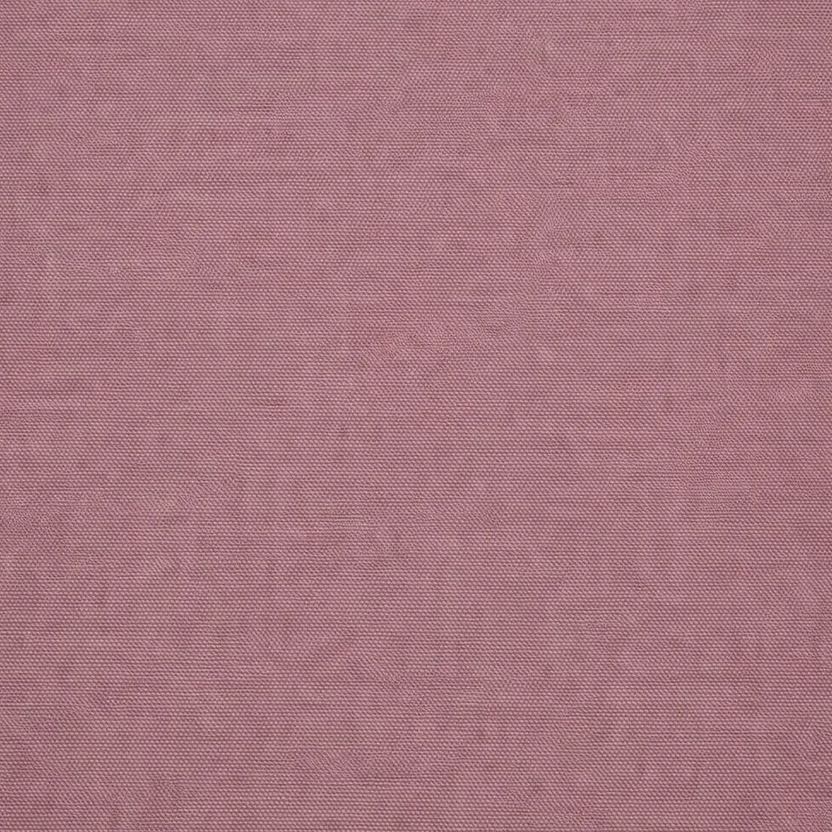 Divano Letto 2 Posti Rosa Contenitore di Apertura a Libro 240x105 cm, Reclinabile - Erbezzo