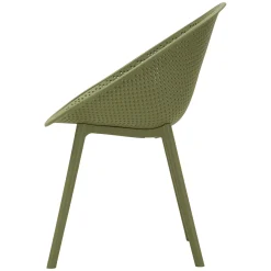 Sedia Verde 2 Sedie Adatto per Indoor/outdoor, Materiale Struttura in Plastica - Tansen
