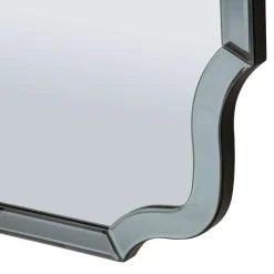 Specchio Grigio Trasparente Cornice Sagomata Forma Rettangolare 60x150h cm, Tipologia a Parete - Dadahani