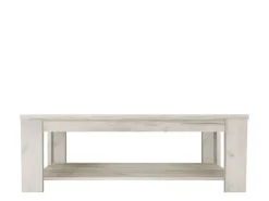Tavolino da Salotto Bianco Larice un Vano Forma Rettangolare 120x60x41.5h cm, Sfumatura Colore Ripiano Larice - Front