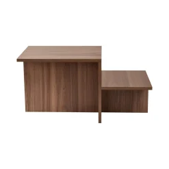 Tavolino da Salotto Marrone Noce Forma Rettangolare Materiale Piano in Legno Nobilitato 80x40x40h cm, Colore Ripiano Marrone - Lomagna