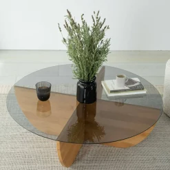 Tavolino da Salotto Marrone Rovere Portariviste Forma Rotonda 90x90x30h cm, Materiale Struttura in Vetro - Jolanda