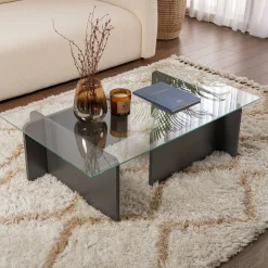 Tavolino da Salotto Nero Antracite Portariviste Forma Rettangolare 105x65x30h cm, Sfumatura Colore Struttura Antracite - Kallias