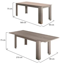 Tavolo allungabile 8-12 posti 160/210x90cm rovere -Agenore