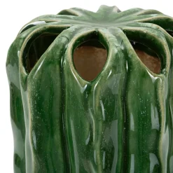 Vaso Verde Disegno con Cactus, - Basi